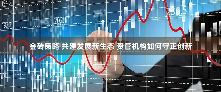 金砖策略 共建发展新生态 资管机构如何守正创新