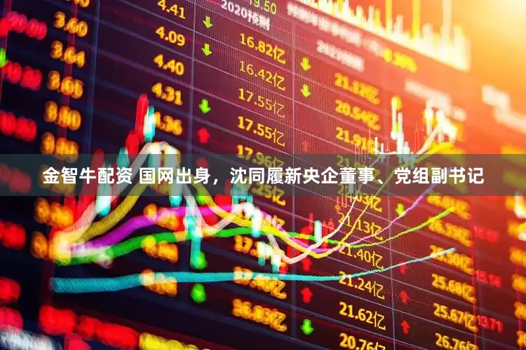 金智牛配资 国网出身，沈同履新央企董事、党组副书记